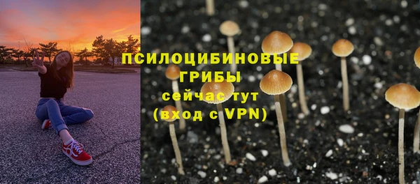 a pvp Армянск